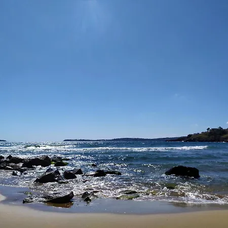 Valchevi *
